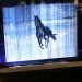 Leia Display Systems, futuristic, horse, future technology, holographic display, future trends