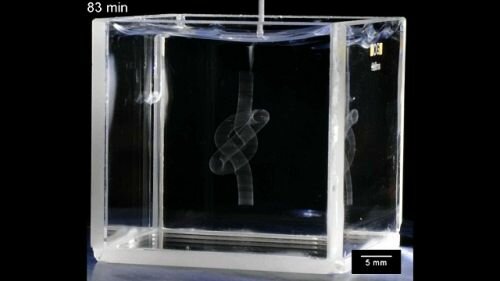 3D-Printing Needle Creates Intricate Objects In Soft Gels, Future of Medicine, Bioprinting, 3D-print human organs, Regenerative Medicine
