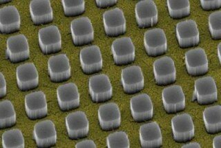 The Future of Energy. Solar Power. Invisible Wires Could Boost Solar-Cell Efficiency. Silicon pillars emerge from nanosize holes in a thin gold film