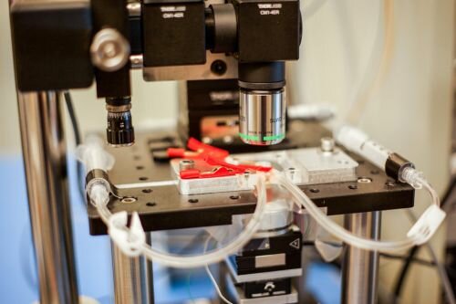 Microscope Creates Near-Real-Time Videos Of Nanoscale Processes, Futuristic Technology, MIT, Nanotechnology