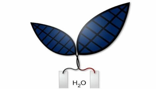 The Future of Energy, Futuristic Technology, Artificial Photosynthesis, Bionic Leaf Turns Sunlight Into Liquid Fuel, Hydrogen, Solar Power, Harvard University