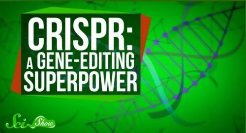 Futuristic Technology, Genetics, Future Trends, Human Development, The Future of Medicine, CRISPR - A Gene-Editing Superpower