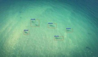 Shark-Detecting Drones To Patrol Australian Beaches | The Future of Drones, Rescue Missions, Flying Robots, The Future of Robotics